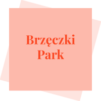 Brzęczki Park logo