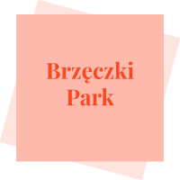 Brzęczki Park