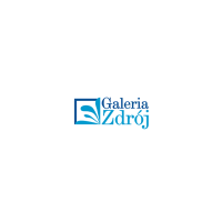 Galeria Zdrój (Carrefour) logo
