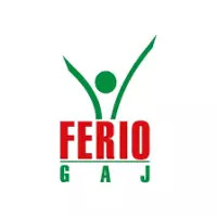 Ferio Gaj