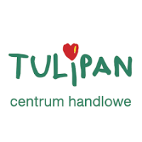 Tulipan