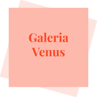 Galeria Venus logo