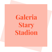 Galeria Stary Stadion logo